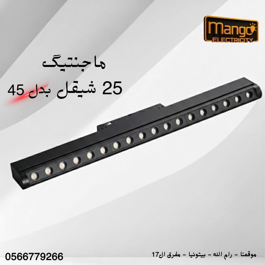 عدسة
