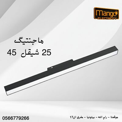 ניאון מגנטי